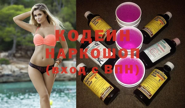 гашик Ладушкин